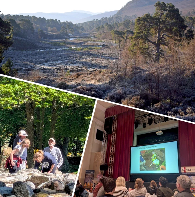 Top: Conservation work at NTS Mar Lodge Estate © Shaila Rao; Bottom left: Participants of the Culloden Rock Art workshop at the Clava Cairns © ScARF; Bottom right: Tom Rees presenting at the CVARF Symposium 2025 © ScARF