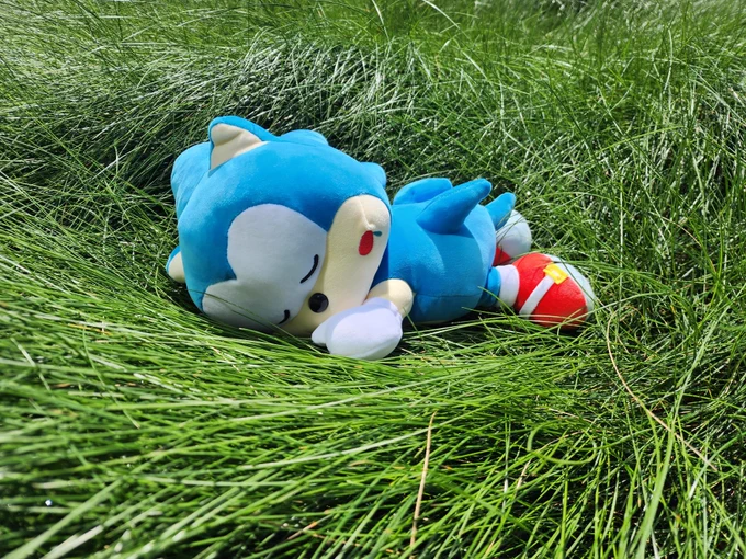 A plush of Sonic the Hedgehog sleeping in some grass.  Wonder what he's dreaming about.