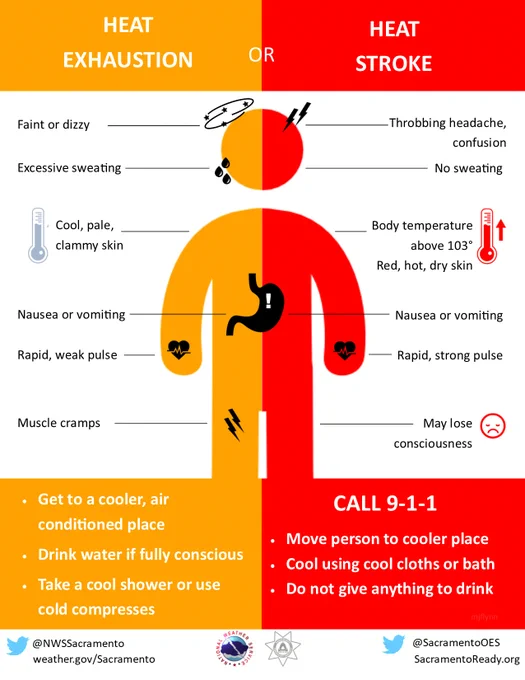 Heat exhaustion-faint, excessive sweating, clammy skin, nausea, weak pulse, muscle cramps.  Get to a cool spot, drink water, and take a cool shower.  Heat stroke-throbbing headache, no sweating, body temperature above 103, nausea, strong pulse, may lose consciousness.  Call 911 and move a person to a cooler place.  Cool using cool cloths and do not give anything to drink.