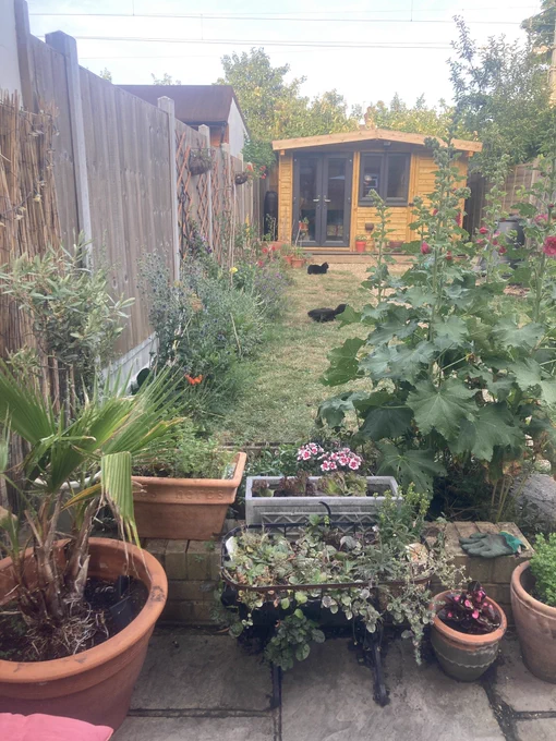 A cottage garden