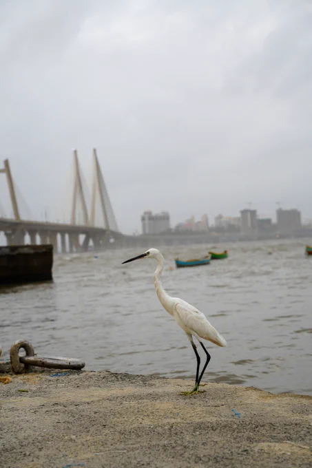 Mumbai Monsoon Diaries: Stillness at the Sea Link