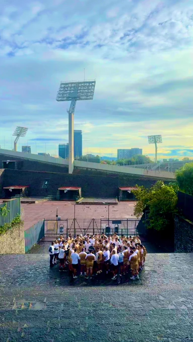 Pumas la vida