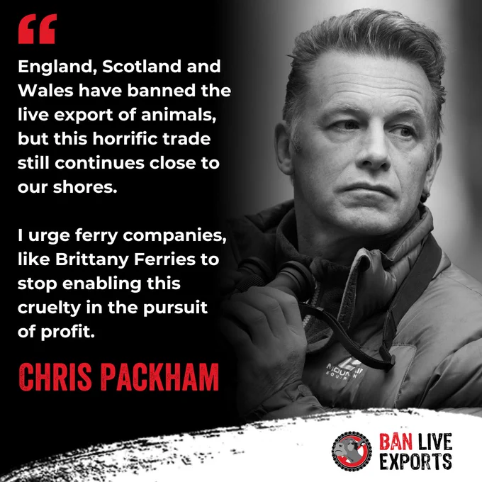 "England, Scotland and Wales have banned the live export of animals, but this horrific trade still continues close to our shores. I urge ferry companies, like Brittany Ferries to stop enabling this cruelty in the pursuit 
of profit." - Chris Packham