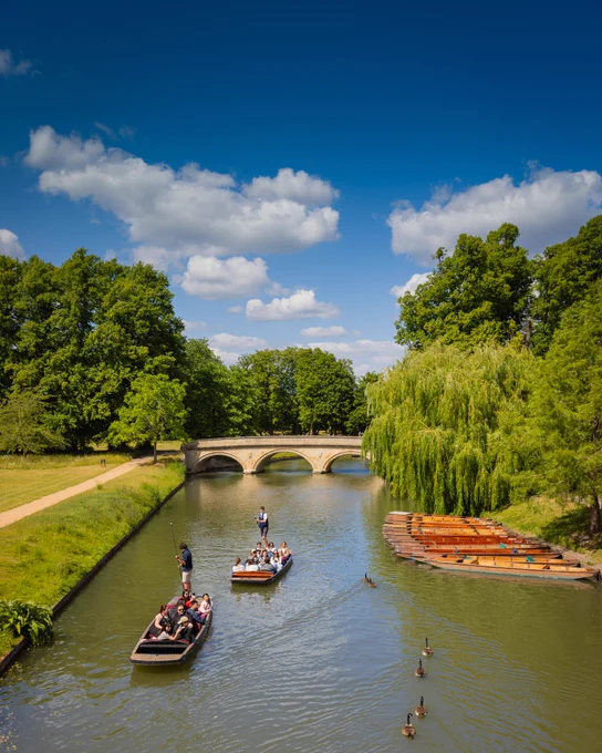 Two punts loaded with passengers cruising down the River Cam accompanied by ducks on a glorious sunny day - blue sky, puffy white clouds – wooden punts tied up on the shore.