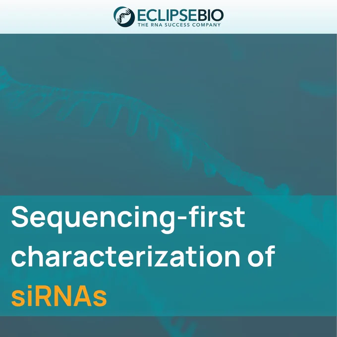 Sequencing-first characterization of siRNAs