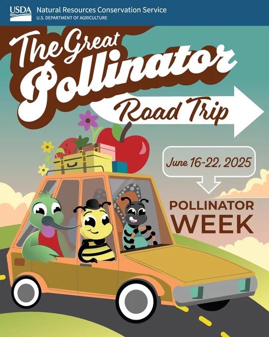 Promotional poster for The Great Pollinator Road Trip by the USDA Natural Resources Conservation Service, featuring cartoon pollinator characters in a car, celebrating Pollinator Week from June 16-22, 2025.