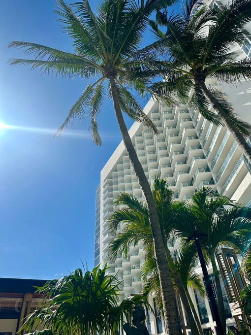 Sunlit view of tall palm trees against the backdrop of the Eden Roc Miami Resort building under a clear blue sky.