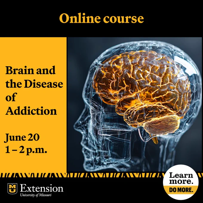 A brain scan of a brain inside a skull. Test says "Online course: Brain and the Disease of Addiction" 