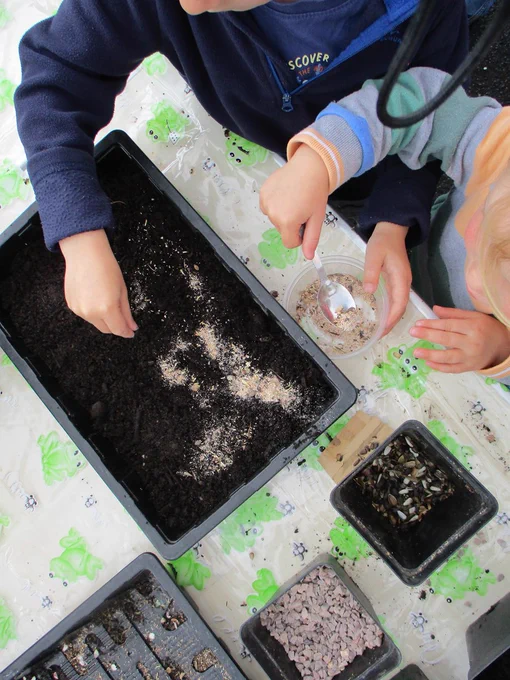 Busy hands creating butterfly feeders and planting mini meadows.