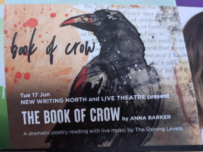 The book of crow poster