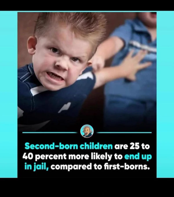 A photo to compliment the post. It shows an enraged young male child and the words "Second-born children are 25 to 40 percent more likely to end up in jail, compared to first-borns,"