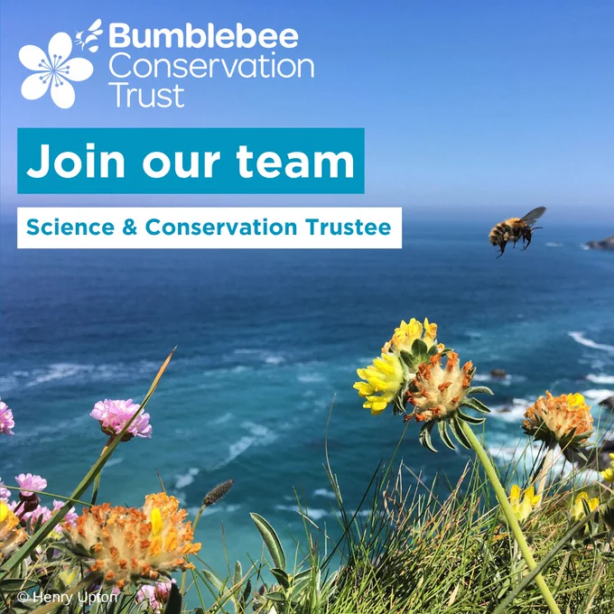 A bumblebee flying over orange, pink and yellow clifftop flowers with the sea in the background. Text reads: Join our team. Science & Conservation Trustee. 