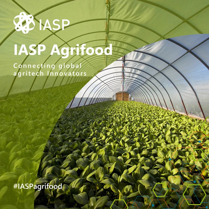IASP Agrifood - connecting global agritech innovators - #IASPagrifood - greenhouse with hexagon graphic and IASP logo