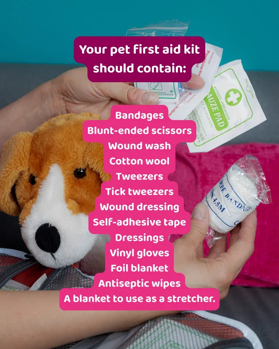 An image of pet first aid supplies with text overlaid which reads: Your first aid kit should contain: Bandages, Blunt-ended scissors, Wound wash, Cotton wool, Tweezers, Tick tweezers, Wound dressing, Self-adhesive tape, Dressings, Vinyl gloves, Foil blanket, Antiseptic wipes, A blanket to use as a stretcher.