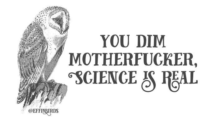 A woodcut of a bird beside the text "you dim motherfucker, science is real"