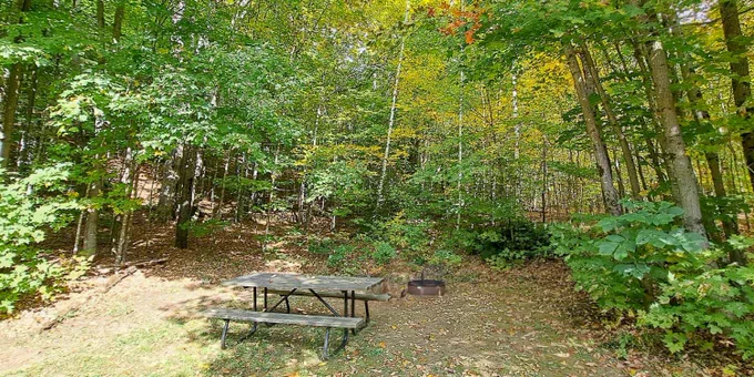 A picnic table next to a fire ring in the woods.