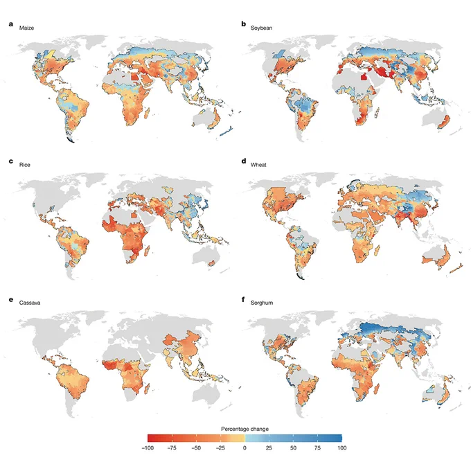 This is figure 2, which shows projected end-of-century change in crop yields resulting from climate change, accounting for adaptation to climate and increasing incomes. 