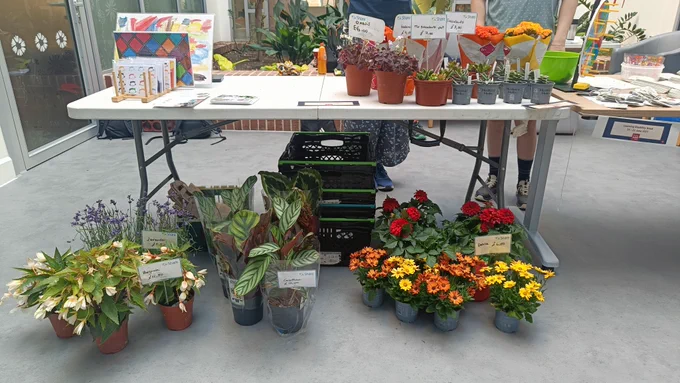A close-up of a Share market stall. There is a table covered with vibrant plants in green, white, yellow, orange, and red, plus Share art prints, greeting cards, and leaflets. There is also a selection of plants placed on the ground below the table.