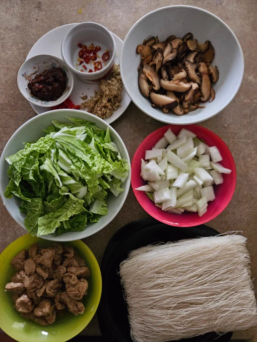 Ingredients clockwise from top left of a plate with grated ginger, sliced red chilli, beanpaste, a bowl of rehydrated shiitake mushrooms sliced, a bowl of bokchoy stem pieces, a squareish black soup plate with dry rice vermicelli, a bowl of mock abalone (friend gluten), a bowl of bokchoy leaf pieces.