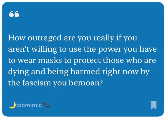 On a blue background white text reads:

How outraged are you really if you aren’t willing to use the power you have to wear masks to protect those who are dying and being harmed right now by the fascism you bemoan?

- biomimic