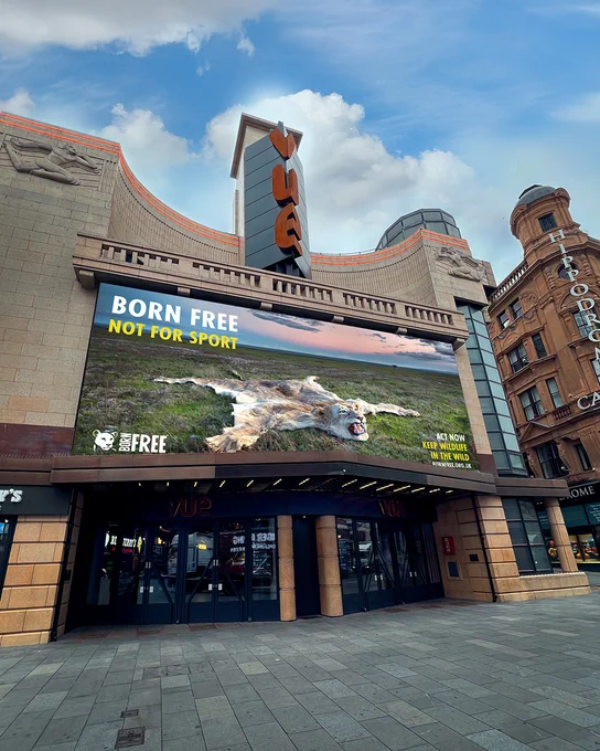 Exterior of the Leicester Square Vue Cinema featuring a large billboard with an image of a lion laid out as a rug, and the text "Born Free Not For Sport."