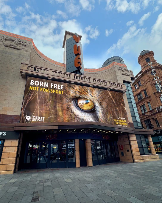 Exterior of the Leicester Square Vue Cinema featuring a large billboard with an image of a lion's eye reflecting a hunter's gun, and the text "Born Free Not For Sport."