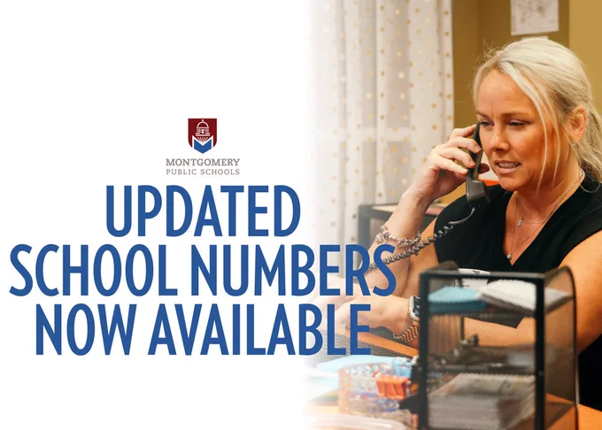new phone numbers