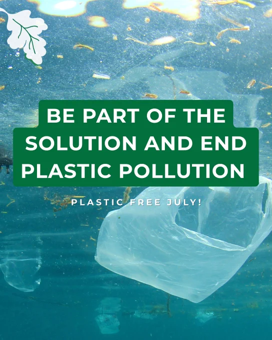 picture of plastic bag and plastic water bottles floating in a lake. 