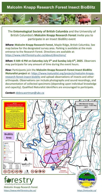 The Entomological Society of British Columbia and the University of British Columbia’s Malcolm Knapp Research Forest invite you to participate in an Insect BioBlitz event

Where: Malcolm Knapp Research Forest, Maple Ridge, British Columbia. See map below for the designated survey area. Parking is available at the main entrance to the Research Forest. Directions are available at: https://www.mkrf.forestry.ubc.ca/about/directions/

Full details at: https://t.co/d25roT2Z0e

When: 9 AM–6 PM on Saturday July 5th and Sunday July 6th, 2025. Observers may participate for any amount of time during the event hours. 



There is a trail map of the Malcolm Knapp Research Forest below. Below the map are logos for Malcolm Knapp Research Forest and the ESBC.