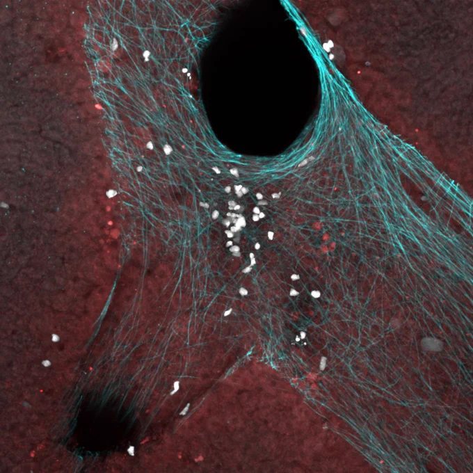 Image: 'Black hole Apocalypse' submitted by Dr Kieran English in our 2020 'When Art Meets Science' competition.
