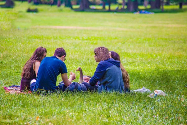 Group of young people sitting on grass, geeting a duck
