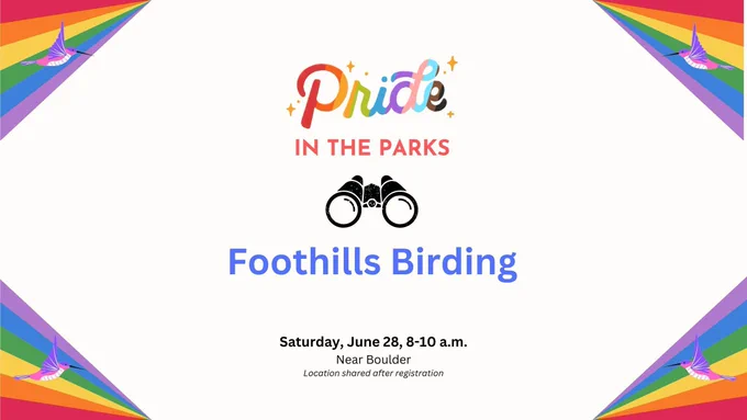Colorful promotional graphic for a "Pride in the Parks" event called Foothills Birding, featuring rainbow borders with illustrated pink hummingbirds in each corner. The event includes a black binoculars icon and takes place on Saturday, June 28, 8–10 a.m. near Boulder. Location will be shared after registration. The word “Pride” is stylized in a multicolor gradient.