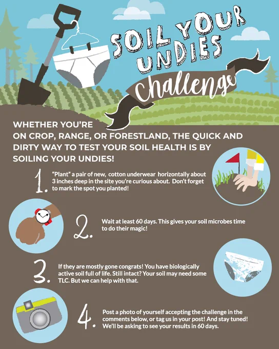 Promotional poster for the "Soil Your Undies Challenge" encouraging participants to test soil health by burying underwear. The poster includes a playful illustration of underwear hanging on a tree branch, and steps to participate: bury cotton underwear, wait 60 days, then assess soil health by observing decomposition. Icons of a shovel, a calendar, magnifying glass, and camera accompany each step.