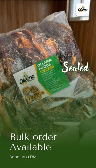 Whether it’s for family, friends, or your foodie soul; nothing beats the taste of premium smoked catfish from Ollama Farms International.
Tag a Foodie that loves smoked catfish!
Let’s light up the weekend.

#SundayVibes #SmokedCatfish #WeekendFood #OllamaFarms
