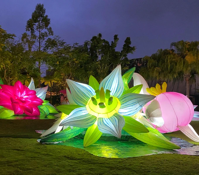 Illuminated, oversized flower sculptures in various colors displayed outdoors at night.