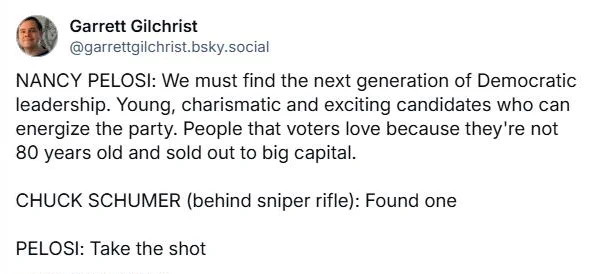 garrettgilchrist:
"nancy pelosi: we must find the next generation of democratic leadership. young, charismatic and exciting candidates who can energize the party.  people that voerts love because they're not 80 years old and sold out to big capital.
chuck schumer (behind sniper rifle): found one
pelosi: take the shot"
