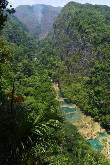 Photo by Conor Murphy on Unsplash:

https://unsplash.com/photos/a-river-running-through-a-lush-green-forest-WHEU6PQPDHY