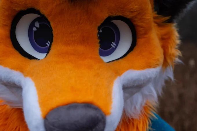 Extreme close up of Scramble's face