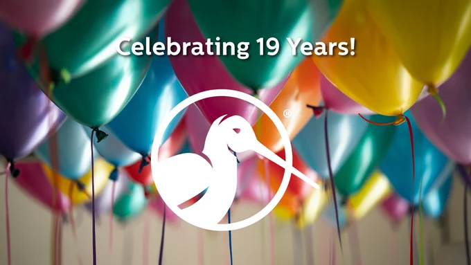 Colorful balloons with the Dowitcher Design logo and text that reads "Celebrating 19 Years!"