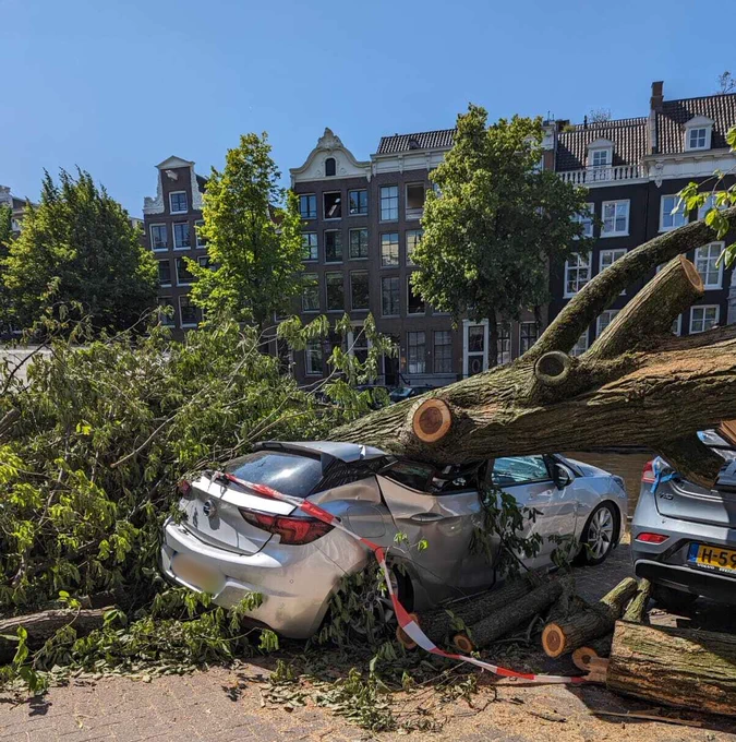 Schade aan een auto door een omgevallen boom in Amsterdam in 2024 (Bron: KNMI)