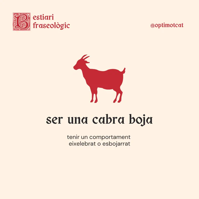 Bestiari fraseològic
ser una cabra boja
tenir un comportament eixelebrat