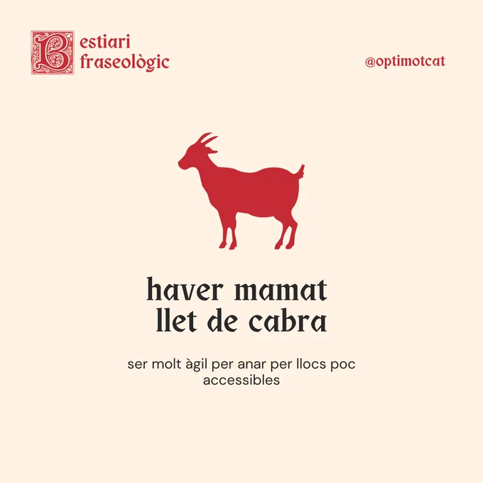Bestiari fraseològic
haver mamat llet de cabra
ser molt àgil per anar per llocs poc accessibles