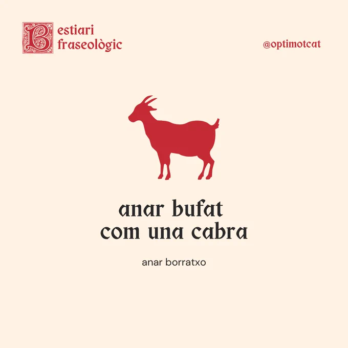 Bestiari fraseològic
anar bufat com una cabra
anar borratxo