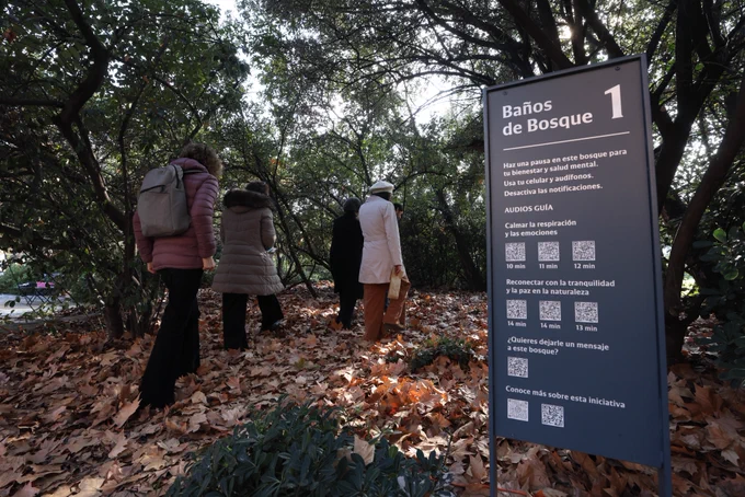 La foto muestra uno de los tres tótem para experiencia autoguiada de baños de bosque, instalados en el campus San Joaquín de la UC en Santiago de Chile.