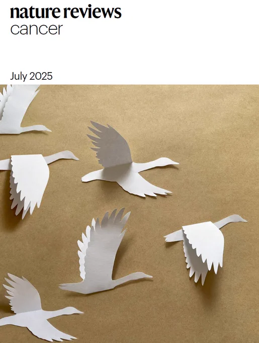 The cover of Nature Reviews Cancer, July 2025, showing flying geese.