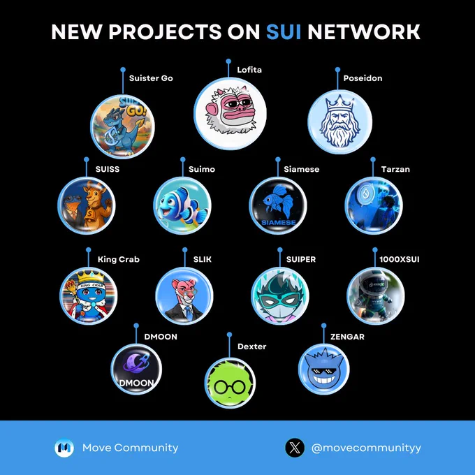 NEW PROJECTS ON SUI NETWORK 🔥
