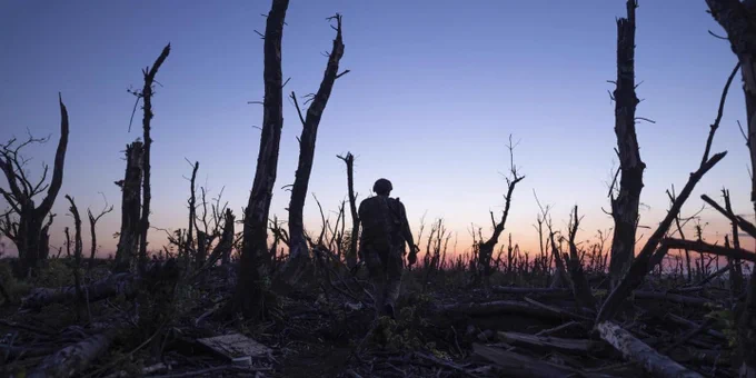 A soldier wearing a helmet is seen in shadow as he walks through what was once a forest but has been reduced to the charred trunks of trees. The sun is setting and there is an orange glow on the horizon. 