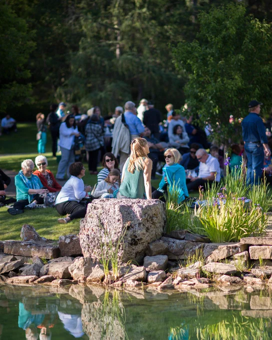 A serene outdoor gathering at a botanical garden, with people sitting on the grass and socializing near a pond. A woman in a green dress sits on a large rock in the foreground, gazing across the water. The background is filled with guests enjoying the event among lush greenery and afternoon light.