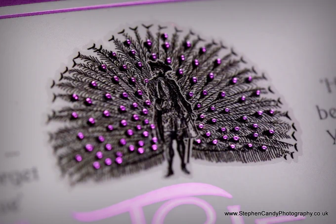Close up of "Peacock" logo on the cover of paperback of "The Betrayal of Thomas True" with shiny foil effects.