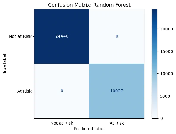 perfect confusion matrix from random forest. i was so happy